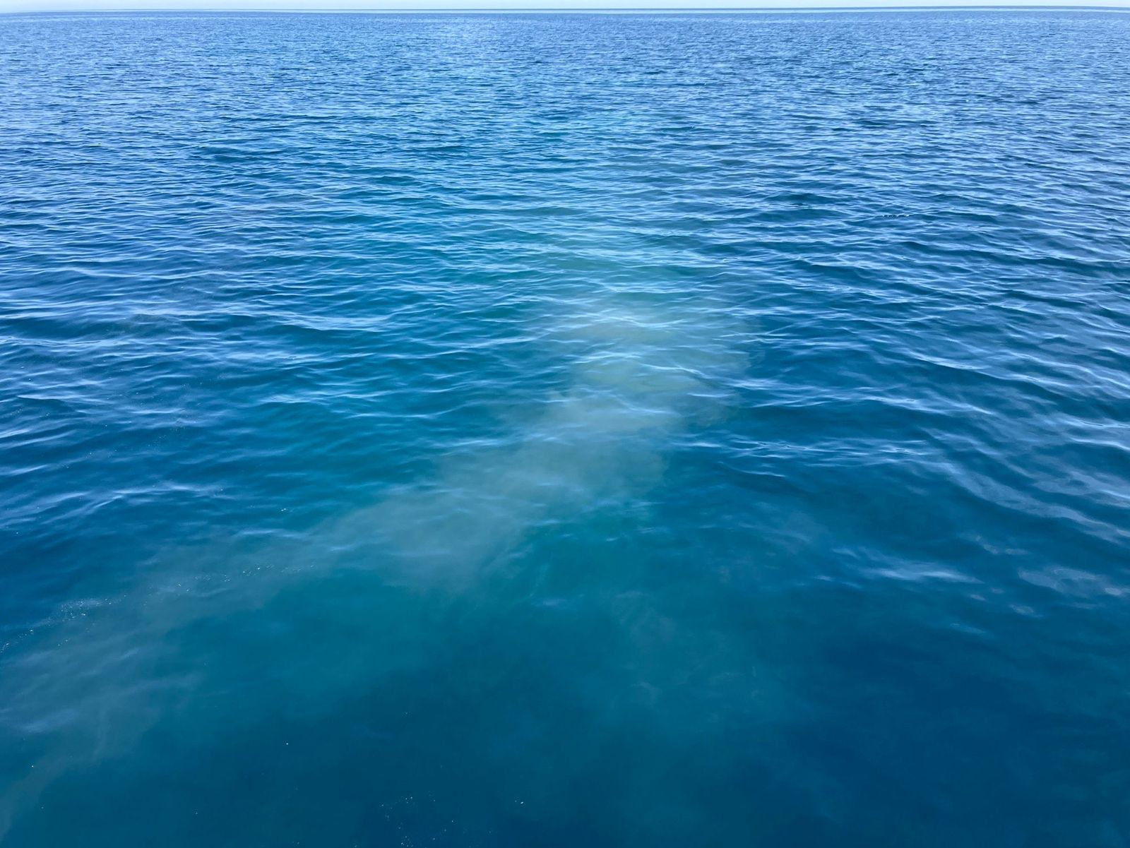 富山湾の海面に広がる、お還ししたご遺骨
